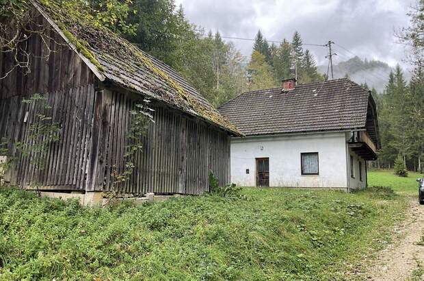 Gewerbeobjekt kaufen in 9135 Ebriach (Bild 1)