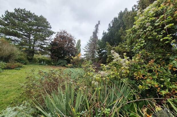 Grundstück kaufen in 2232 Deutsch (Bild 2)