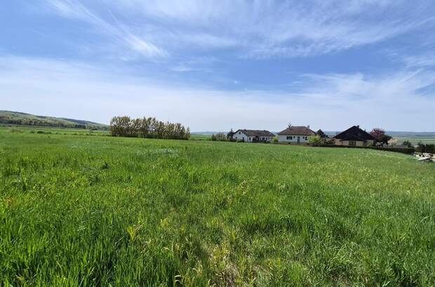 Grundstück kaufen in 3580 Horn (Bild 4)