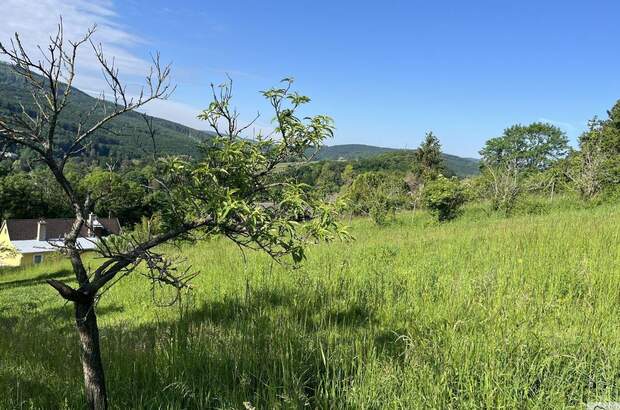 Grundstück kaufen in 3400 Klosterneuburg (Bild 3)
