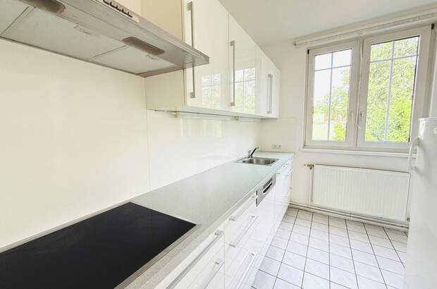 Altbauwohnung mieten in 1130 Wien (Bild 3)