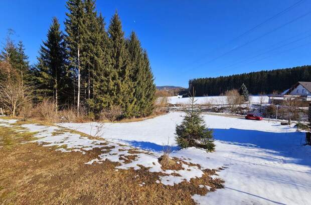 Grundstück kaufen in 8741 Weißkirchen (Bild 1)