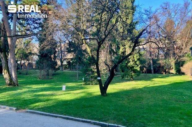 Terrassenwohnung kaufen in 1180 Wien (Bild 2)