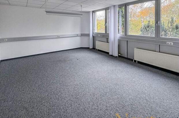 Gewerbeobjekt mieten in 4600 Thalheim (Bild 5)