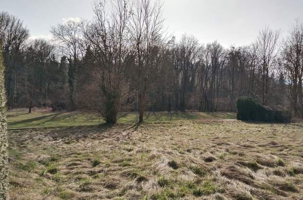 Grundstück kaufen in 4073 Wilhering (Bild 4)