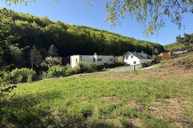 Grundstück kaufen in 3413 Hintersdorf (Bild 4)