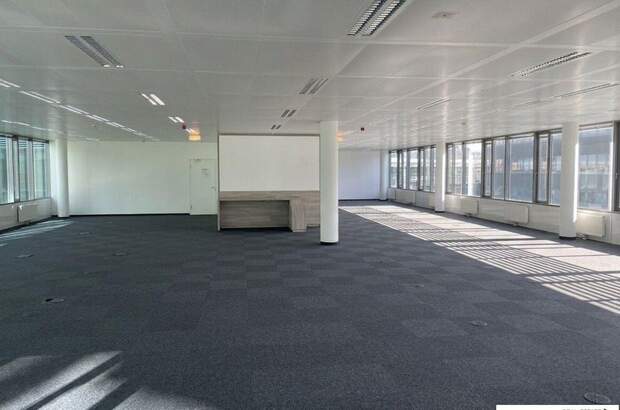 Gewerbeobjekt mieten in 1110 Wien (Bild 4)
