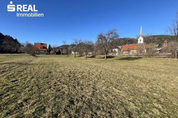 Grundstück kaufen in 9361 St. Salvator (Bild 3)