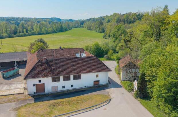 Haus kaufen in 4643 Mitterndorf (Bild 2)