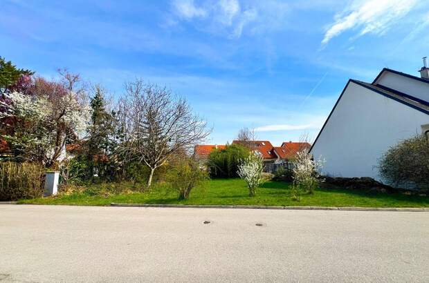 Grundstück kaufen in 2345 Brunn (Bild 3)