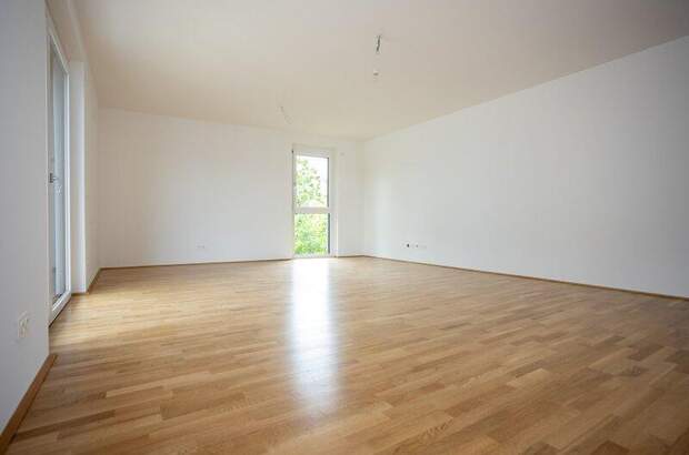 Terrassenwohnung kaufen in 2700 Wr. Neustadt (Bild 5)