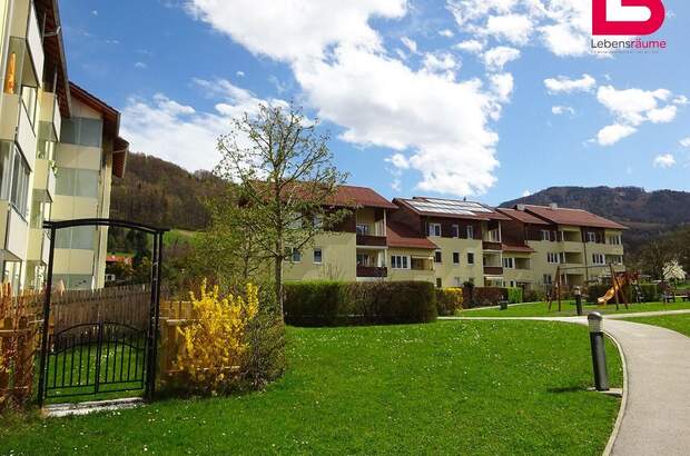 Wohnung mieten in 4560 Kirchdorf