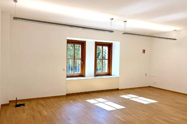 Gewerbeobjekt mieten in 1010 Wien (Bild 1)