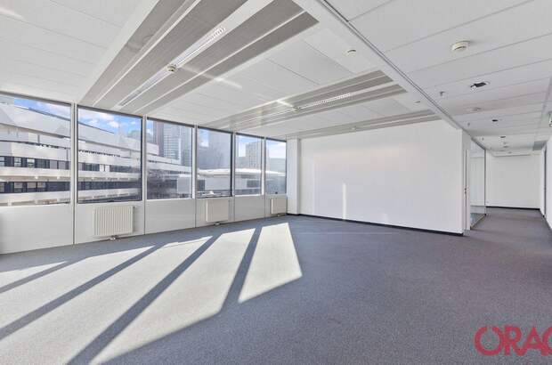 Gewerbeobjekt mieten in 1220 Wien (Bild 5)