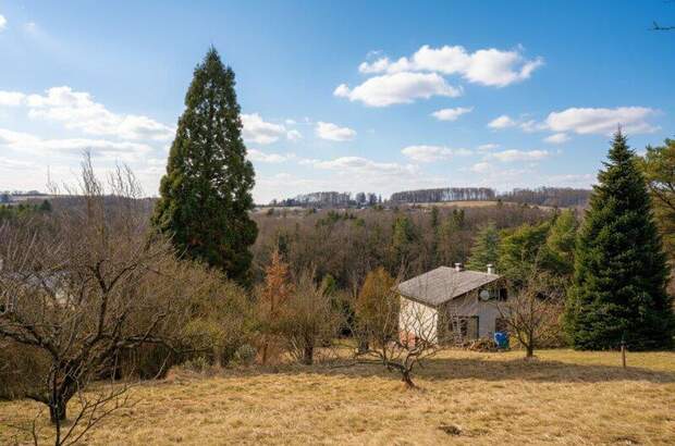 Grundstück kaufen in 3033 Altlengbach (Bild 5)