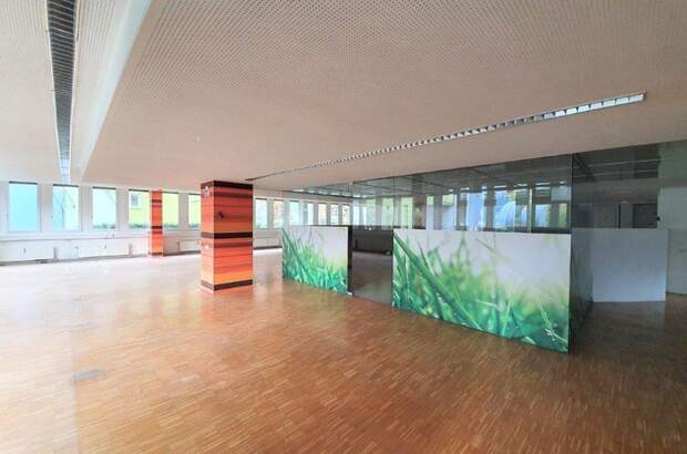 Gewerbeobjekt mieten in 1030 Wien (Bild 3)