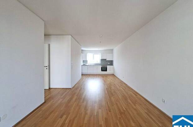Terrassenwohnung mieten in 1020 Wien (Bild 1)