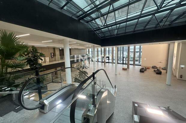 Gewerbeobjekt mieten in 1210 Wien (Bild 4)