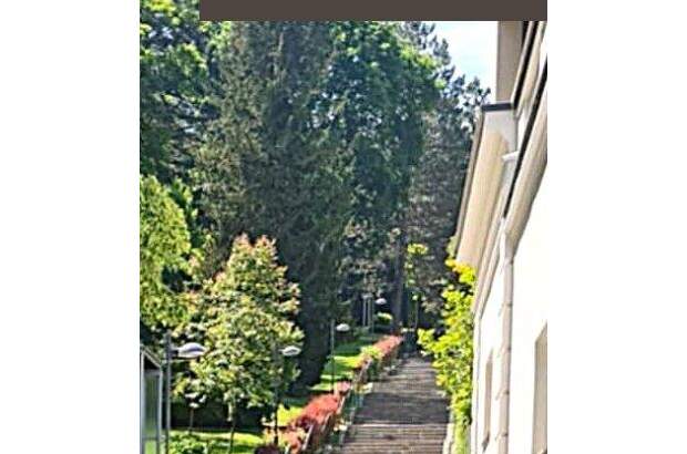 Eigentumswohnung in 1170 Wien (Bild 2)