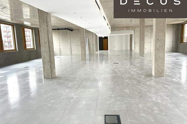 Büro / Praxis mieten in 1230 Wien (Bild 1)