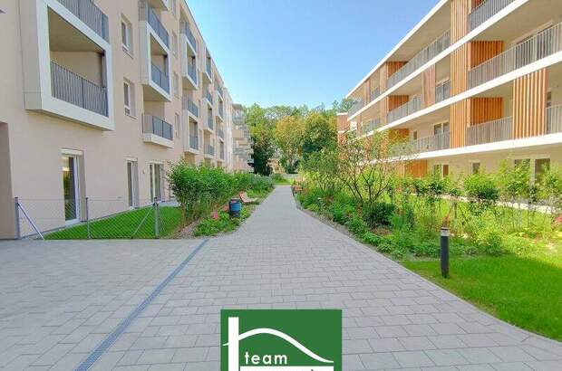 Terrassenwohnung mieten in 3100 St. Pölten (Bild 1)