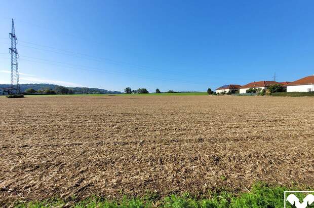 Grundstück kaufen in 4490 St. Florian (Bild 3)