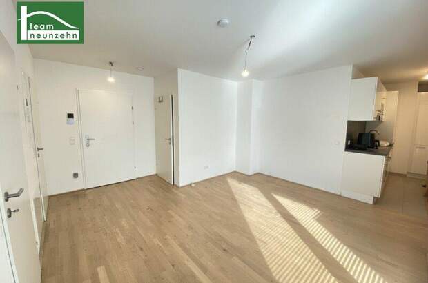 Terrassenwohnung mieten in 1200 Wien (Bild 3)