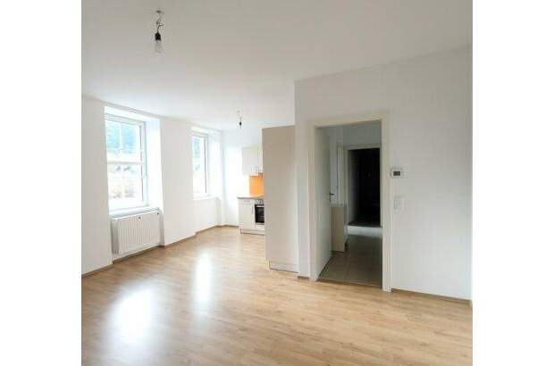 Wohnung mieten in 2565 Neuhaus (Bild 1)