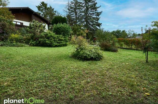 Haus kaufen in 2105 Oberrohrbach (Bild 4)