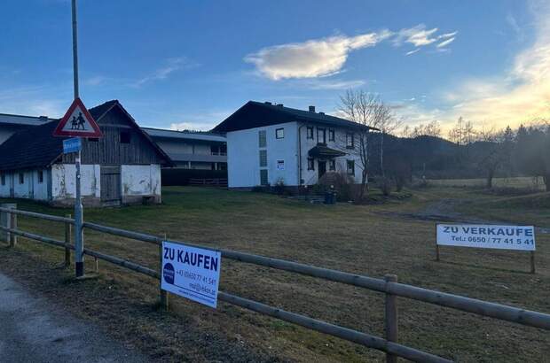 Haus kaufen in 9560 St. Martin (Bild 4)