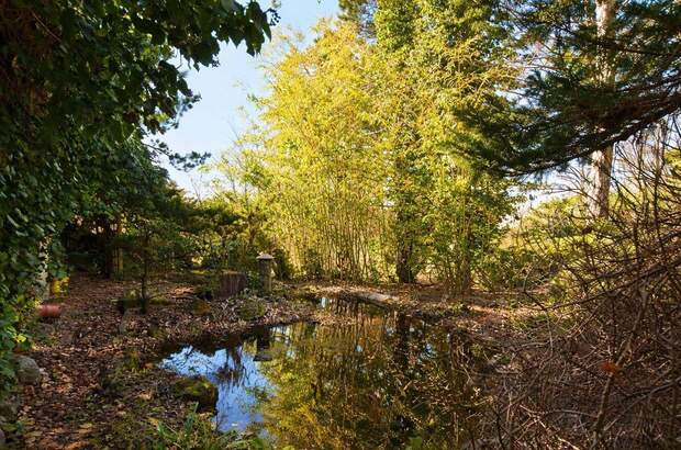 Haus kaufen in 1140 Wien (Bild 4)
