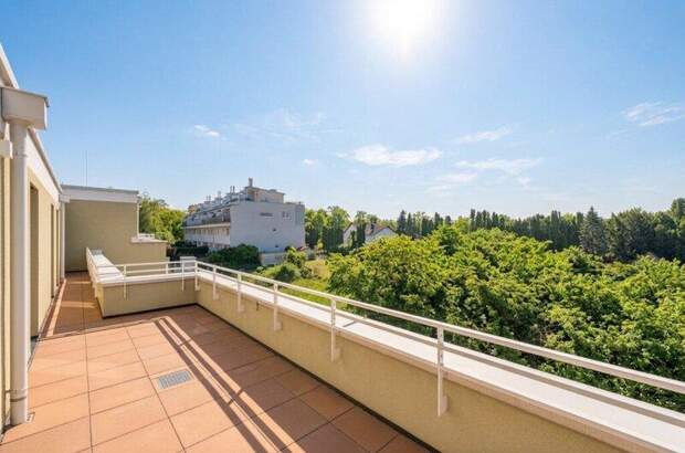 Terrassenwohnung kaufen in 2540 Bad Vöslau (Bild 3)