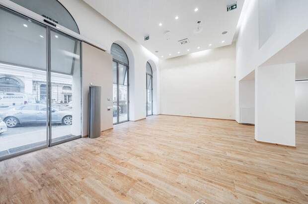 Gewerbeobjekt mieten in 1010 Wien (Bild 1)
