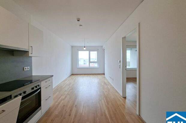 Terrassenwohnung mieten in 1020 Wien (Bild 1)