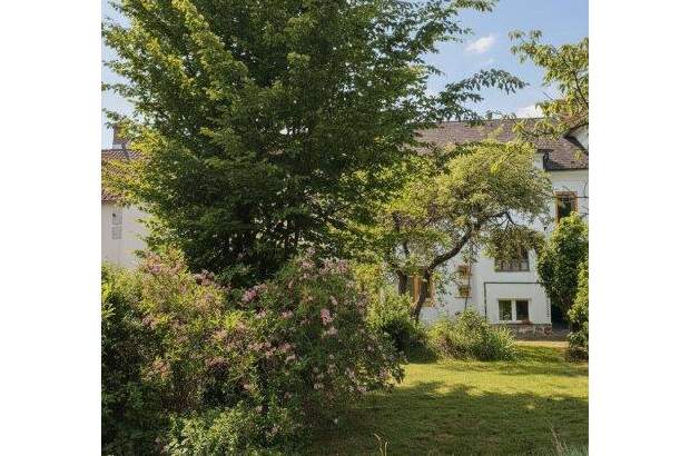 Haus kaufen in 3950 Gmünd (Bild 3)