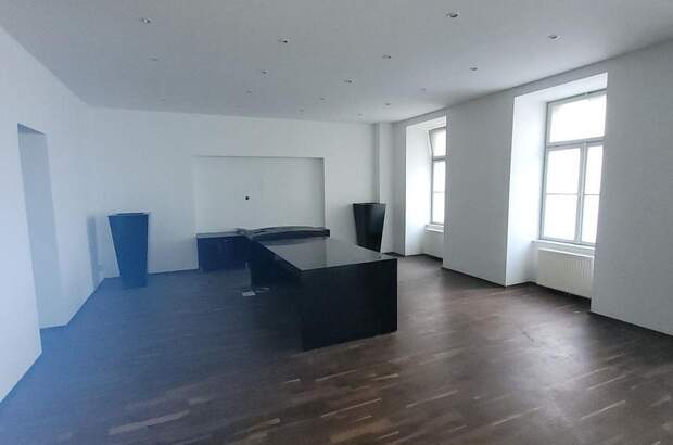 Gewerbeobjekt mieten in 1060 Wien (Bild 3)