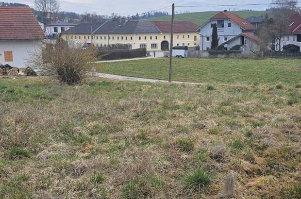 Grundstück kaufen in 4611 Buchkirchen (Bild 1)