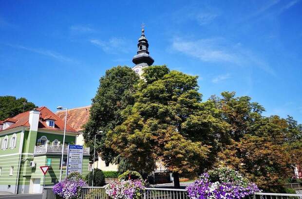 Gewerbeobjekt kaufen in 8271 Bad Waltersdorf