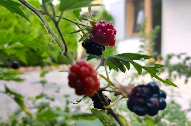 Eigentumswohnung in 6020 Innsbruck (Bild 1)