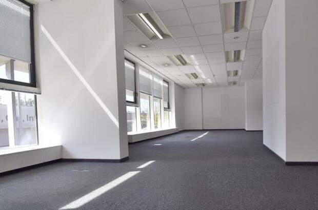 Gewerbeobjekt mieten in 4020 Linz (Bild 1)