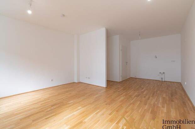 Terrassenwohnung mieten in 3100 St. Pölten (Bild 3)