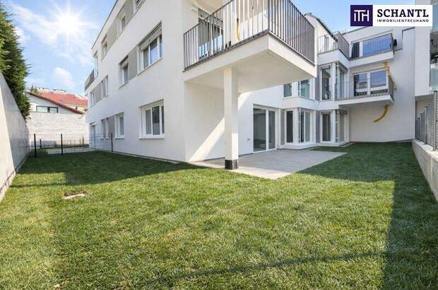 Terrassenwohnung kaufen in 2320 Schwechat (Bild 2)