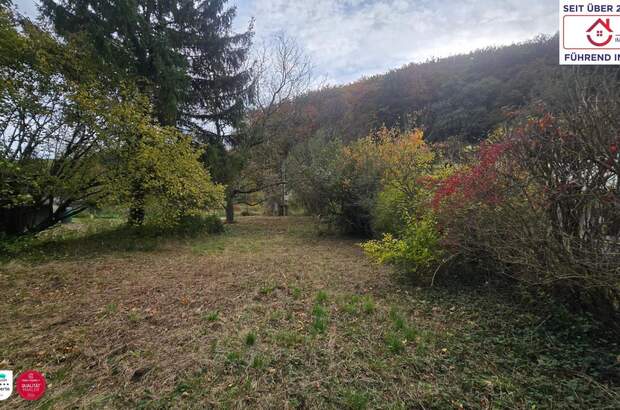 Grundstück kaufen in 3400 Maria Gugging (Bild 5)