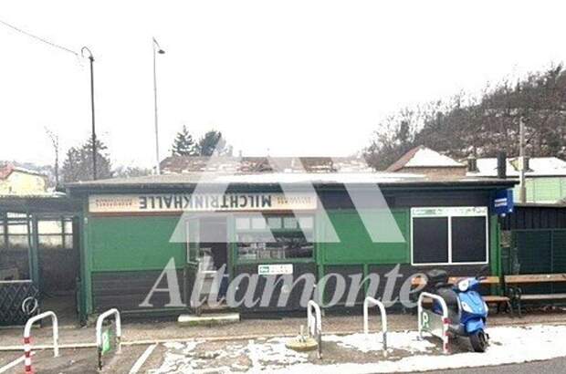 Gewerbeobjekt mieten in 1190 Wien (Bild 2)