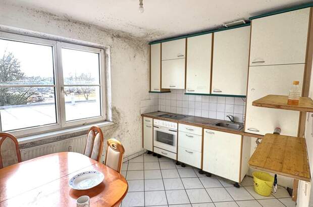 Gewerbeobjekt kaufen in 4053 Ansfelden (Bild 2)