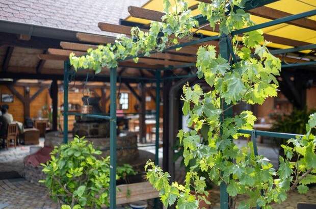 Haus kaufen in 3180 Lilienfeld (Bild 5)