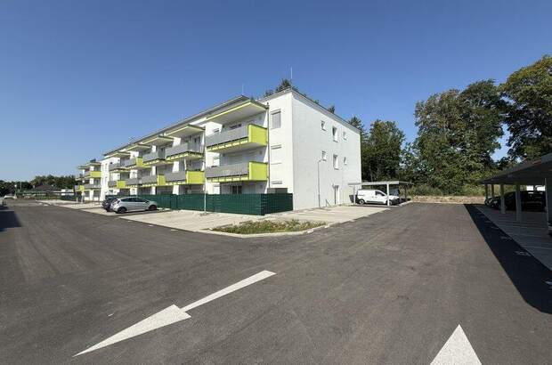 Terrassenwohnung kaufen in 2442 Unterwaltersdorf (Bild 5)