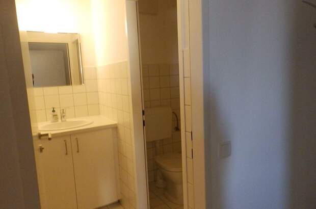 Gewerbeobjekt mieten in 4600 Wels (Bild 3)