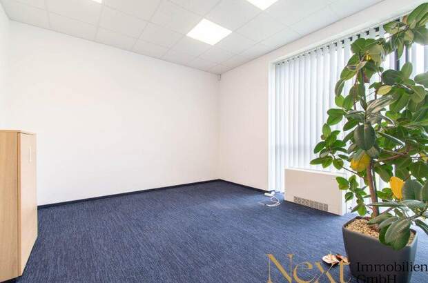 Büro / Praxis mieten in 4060 Leonding (Bild 5)