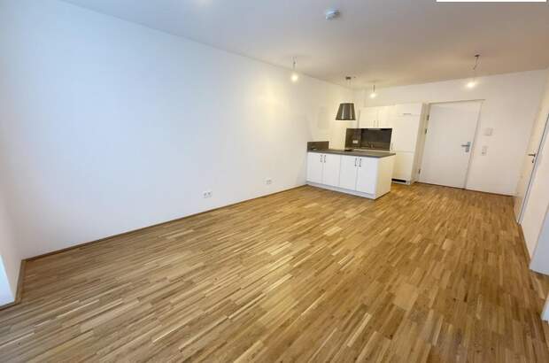 Terrassenwohnung mieten in 3100 St. Pölten (Bild 1)